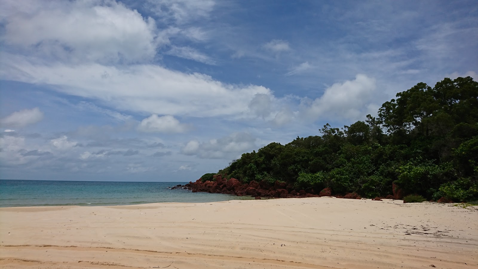 Foto van Little Bondi Beach gelegen in een natuurlijk gebied