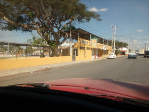 Campo De Softball Cortés Sarmiento