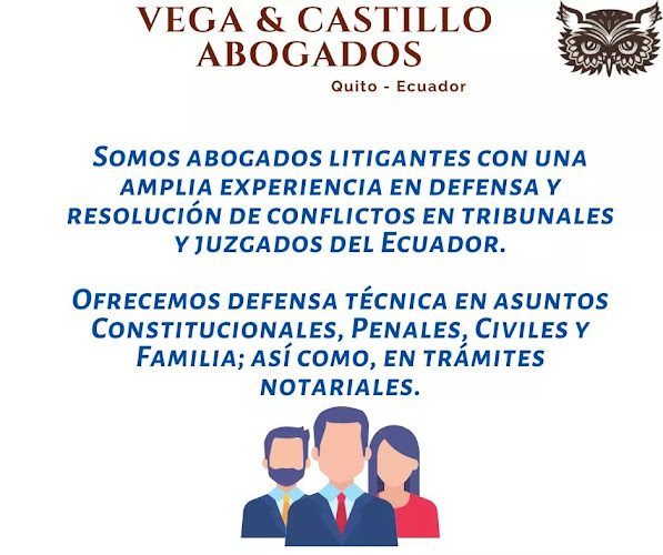 Comentarios y opiniones de Vega & Castillo Abogados