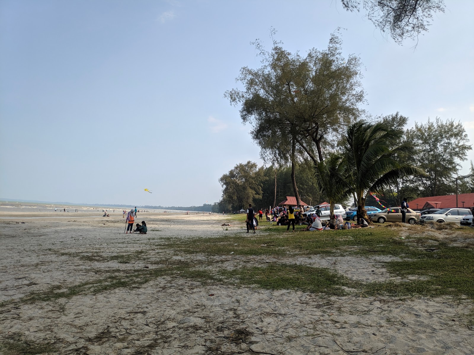 Jason Bay Beach photo #8