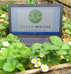 Green Mouse Computing