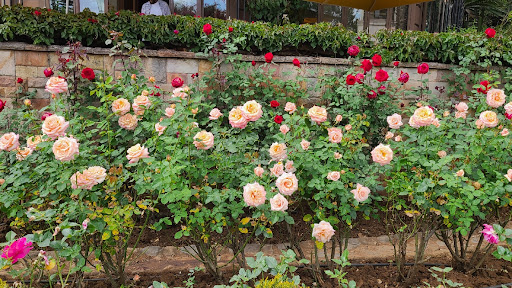 Florist «Convention Floral», reviews and photos, 5932 3rd St NW, Washington, DC 20011, USA