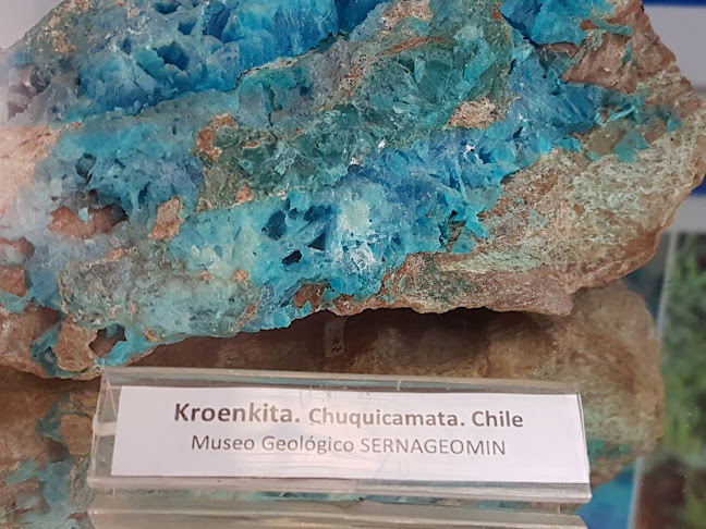 Opiniones de Museo Geológico en Ñuñoa - Museo