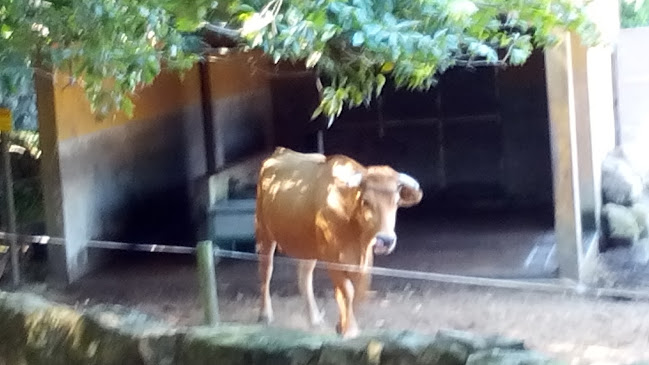 Tomás António & Moreiras Lda - Vila Nova de Gaia