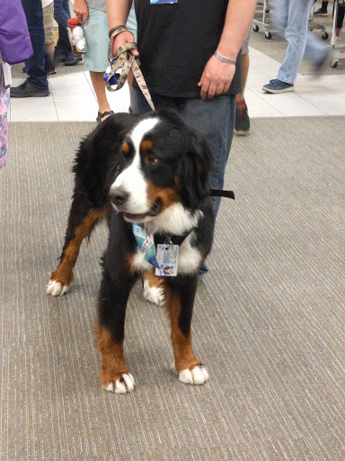 Ski Shop «Christy Sports - Ski & Patio», reviews and photos, 8601 W Cross Dr, Littleton, CO 80123, USA