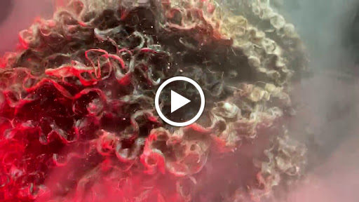 Hair Salon «The Parlor Salon And Spa», reviews and photos, 710 Memorial Blvd #130, Murfreesboro, TN 37129, USA