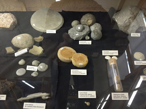 Museum «Nylander Museum-Natural History», reviews and photos, 657 Main St, Caribou, ME 04736, USA