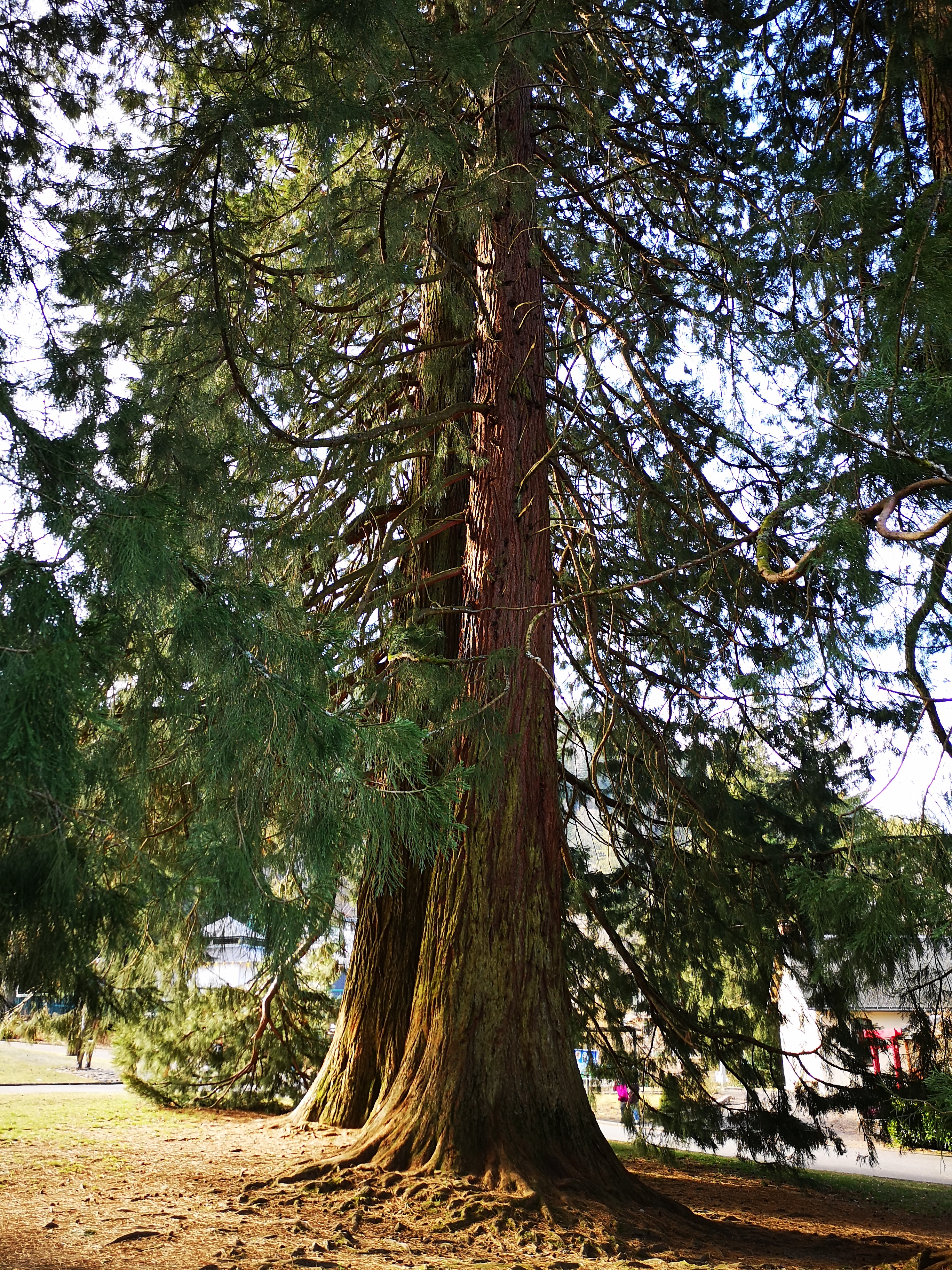 Photo n° 3 de l'avis de Marine.a fait le 05/03/2022 à 13:28