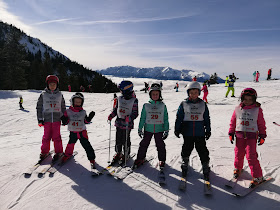 Alpin Ski Academy