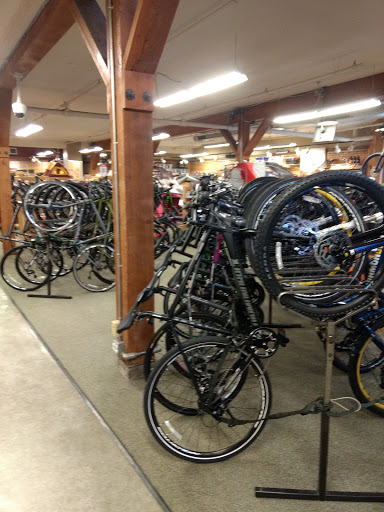 Camping Store «REI», reviews and photos, 306 Lawrence St, Eugene, OR 97401, USA