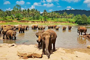 Tour Sri Lanka image