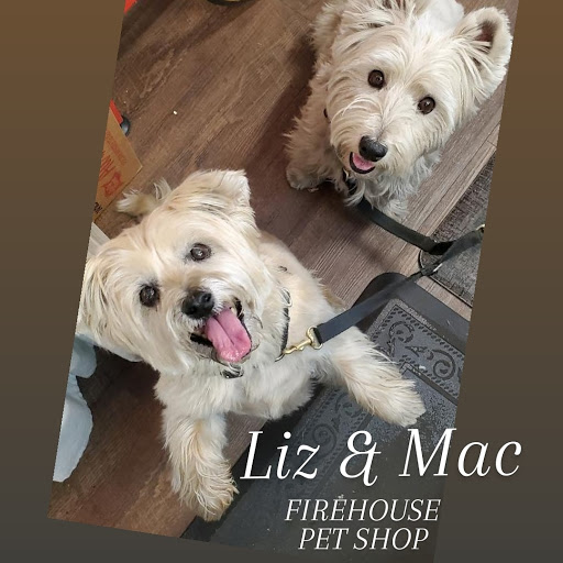 Pet Store «Firehouse Pet Shop & Grooming», reviews and photos, 17 S Wenatchee Ave, Wenatchee, WA 98801, USA
