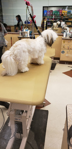 Pet Supply Store «PetSmart», reviews and photos, 5 Main St, East Hartford, CT 06118, USA