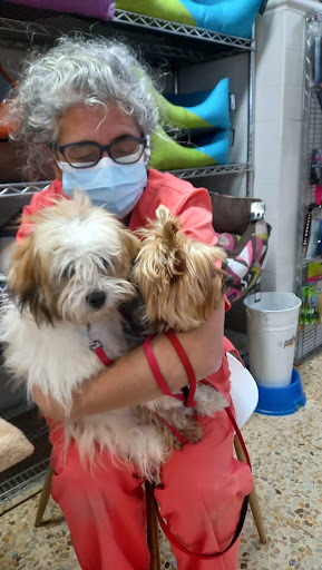 Clínica Veterinaria La Salut - Centro Veterinario Barcelona en Barcelona