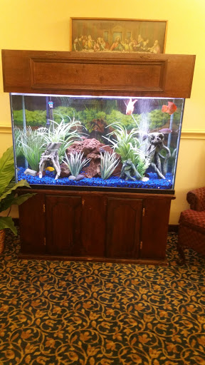 Tropical Fish Store «Inwood Aquarium», reviews and photos, 8244 Antoine Dr # C, Houston, TX 77088, USA