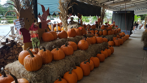 Grocery Store «Norman Brothers Produce», reviews and photos, 7621 SW 87th Ave, Miami, FL 33173, USA