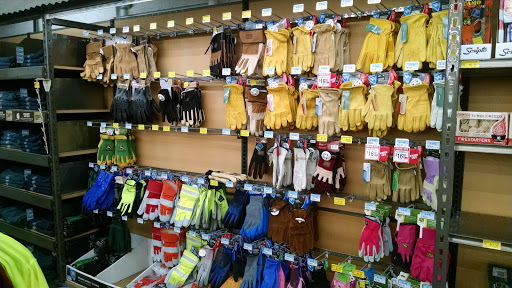 Home Improvement Store «Tractor Supply Co.», reviews and photos, 609 N Dupont Blvd, Milford, DE 19963, USA