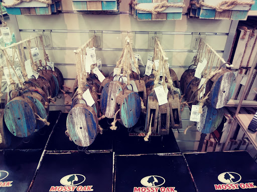 Home Goods Store «Christmas Tree Shops», reviews and photos, 1100-1300 N Galleria Dr, Middletown, NY 10941, USA