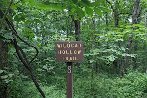 Wildcat Hollow Hiking Trail - Wayne National Forest image
