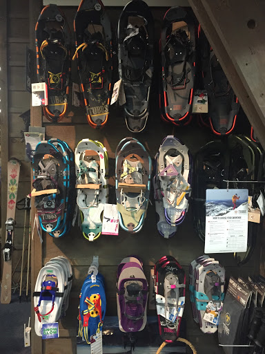 Ski Shop «Alpine Sport Shop», reviews and photos, 399 Clinton St, Saratoga Springs, NY 12866, USA