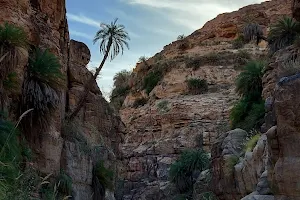 Wadi Bin Hammad image