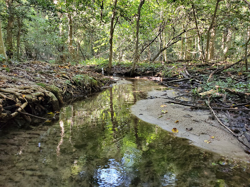 Park «Killens Pond State Park», reviews and photos, 5025 Killens Pond Rd, Felton, DE 19943, USA