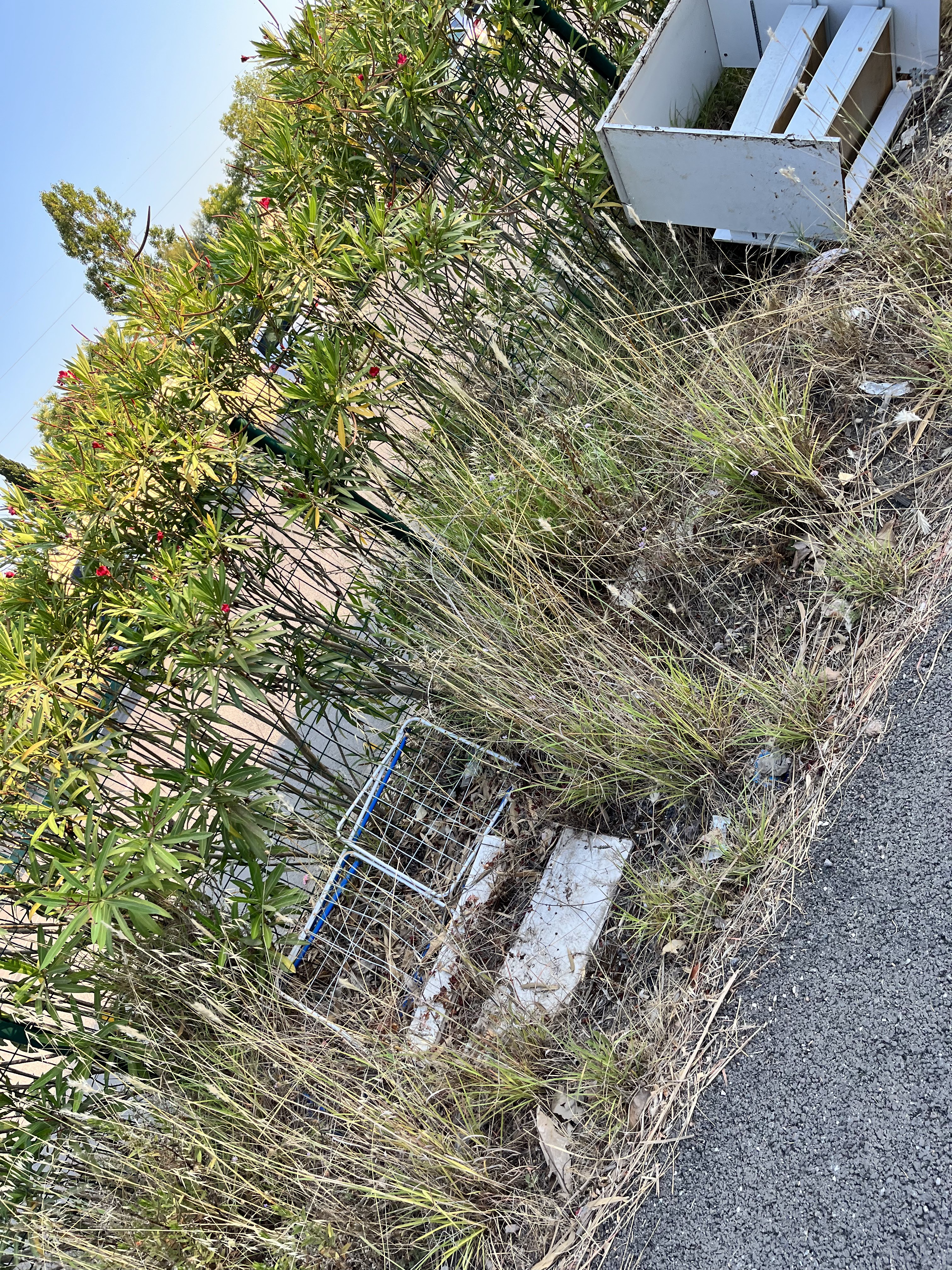 Photo n° 8 de l'avis de Aurélien.a fait le 21/07/2022 à 20:09