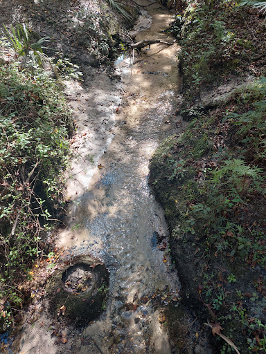 Park «Lithia Springs Park», reviews and photos, 3932 Lithia Springs Rd, Lithia, FL 33547, USA