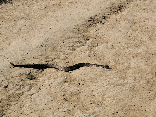 Hacienda Hills Trailhead image