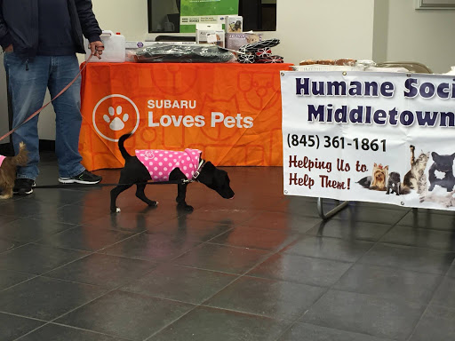 Car Dealer «Johnstons Subaru», reviews and photos, 243 Dolson Ave, Middletown, NY 10940, USA