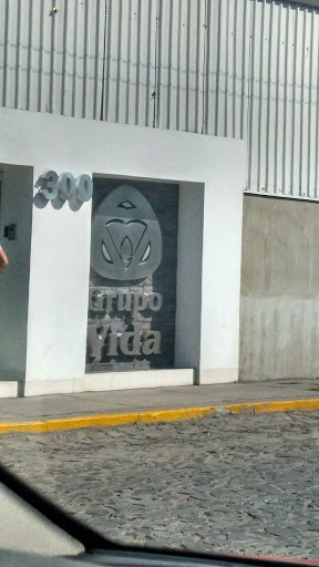 Grupo Vida