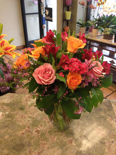 Florist «Solano Florist», reviews and photos, 1863 Solano Ave, Berkeley, CA 94707, USA
