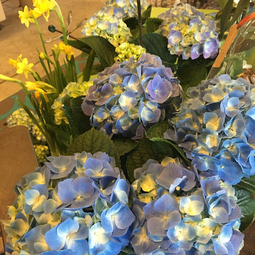 Garden Center «Victoria Gardens», reviews and photos, 1 Cottekill Rd, Rosendale, NY 12472, USA