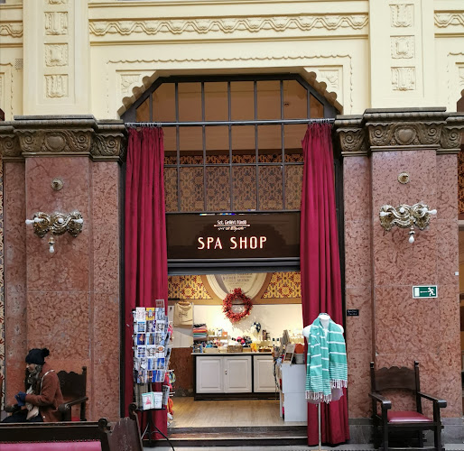 Szent Gellért fürdő kifolyó - Gyógyfürdő