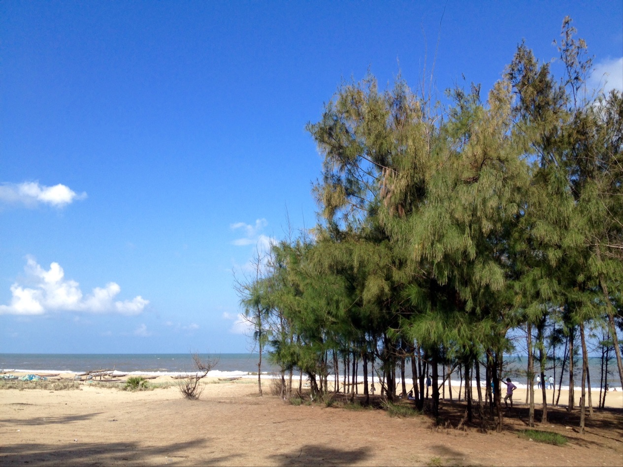 Φωτογραφία του Thirumullaivasal Beach ubicado en área natural