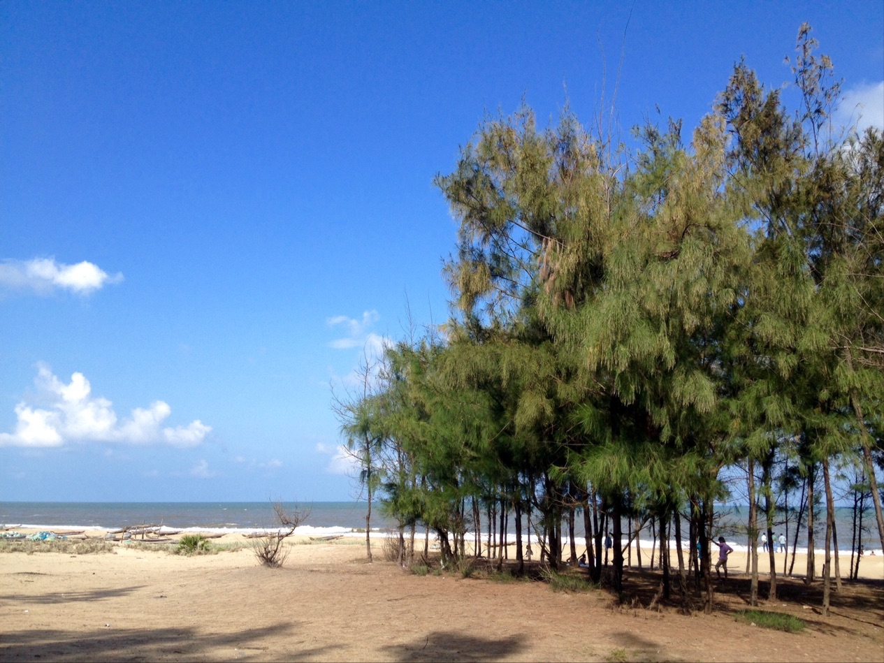 Foto di Thirumullaivasal Beach - luogo popolare tra gli intenditori del relax
