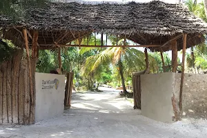 Barefoot Zanzibar image