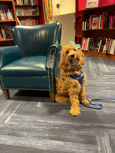 Book Store «Quail Ridge Books», reviews and photos, 4209-100 Lassiter Mill Rd, Raleigh, NC 27609, USA