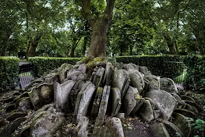 The Hardy Tree image