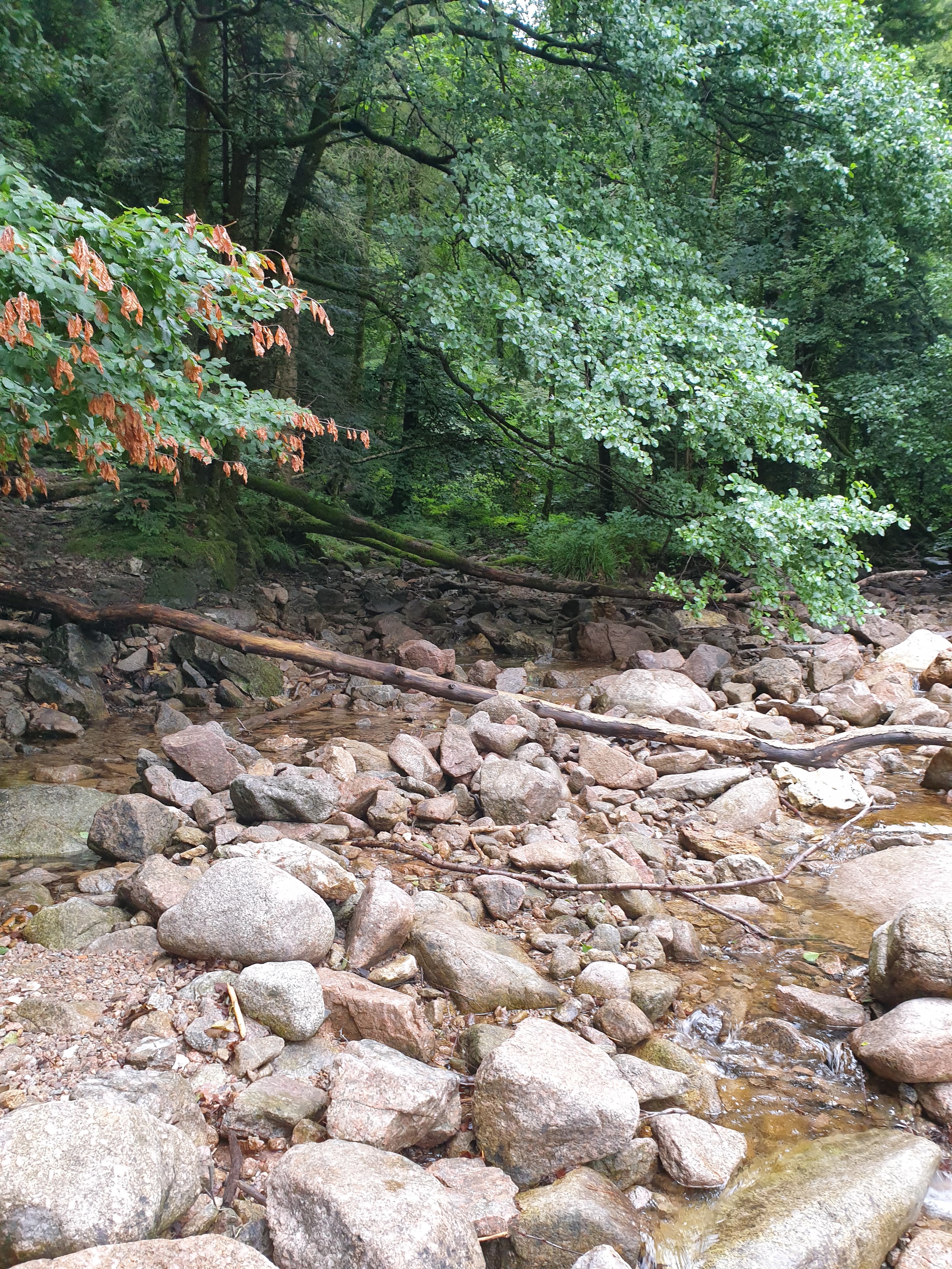 Photo n° 12 de l'avis de Christophe.r fait le 28/07/2019 à 18:55