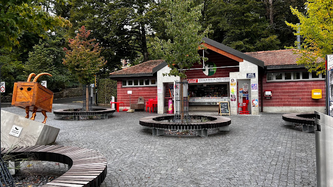 Kiosque CD du Bois du Petit Château - La Chaux-de-Fonds