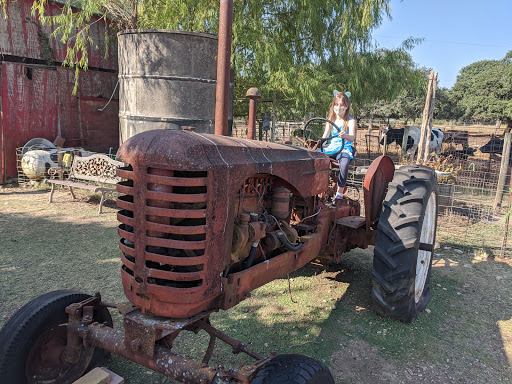 Pony Ride Service «The Farmyard», reviews and photos, 30250 Leroy Scheel Rd, Bulverde, TX 78163, USA