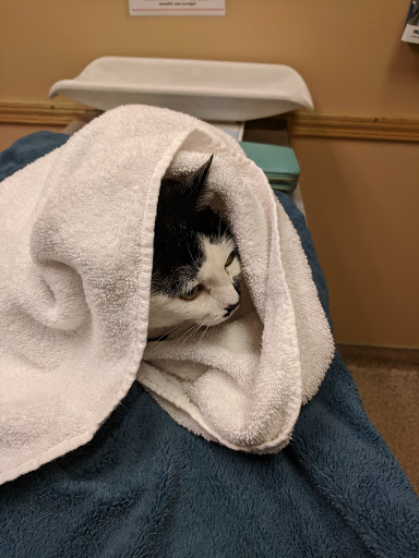 Shopping Mall «Shop City Shopping Center», reviews and photos, 105 Shop City Plaza, Syracuse, NY 13206, USA