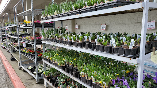 Department Store «Bi-Mart», reviews and photos, 5975 SW 185th Ave, Aloha, OR 97007, USA