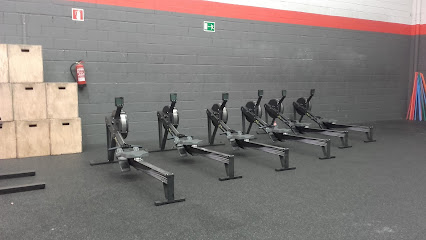 Red Grizzly Crossfit - Naves 26 y 27, Polígono Industrial Inbisa, Av. Amaia, 2, 48940 Getxo, Biscay, Spain