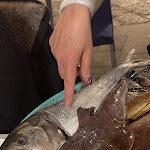 Photo n°2 de l'avis de Nicole.a fait le 27/04/2022 à 20:28 sur le  Ristorante e Pizzeria da Spadone à Cetara