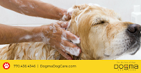 Dogma Dog Care - Car repair in Smyrna, GA, South Fulton - Rated 4.2/5