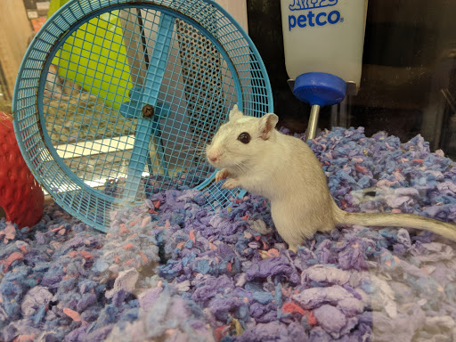 Pet Supply Store «Petco Animal Supplies», reviews and photos, 1624 Governors Square Blvd, Tallahassee, FL 32301, USA