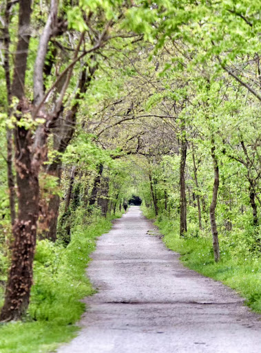 Nature Preserve «Starkey Park», reviews and photos, 667 Sugarbush Dr, Zionsville, IN 46077, USA