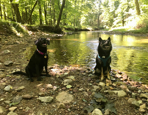 Nature Preserve «Whittemore Wildlife Sanctuary», reviews and photos, 7 Rockaway Rd, Whitehouse Station, NJ 08889, USA